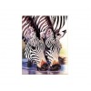 Diamond Painting Verliefde Zebras 2