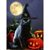 Diamond Painting Halloween Zwarte Kat Met Zwarte Punt Hoed